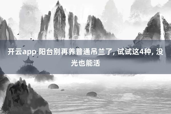 开云app 阳台别再养普通吊兰了, 试试这4种, 没光也能活