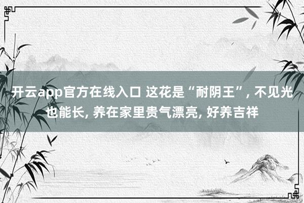开云app官方在线入口 这花是“耐阴王”, 不见光也能长, 养在家里贵气漂亮, 好养吉祥