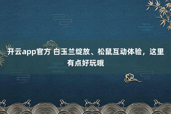 开云app官方 白玉兰绽放、松鼠互动体验，这里有点好玩哦
