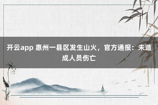 开云app 惠州一县区发生山火,官方通报:未造成人员伤亡