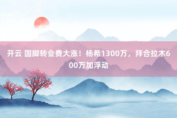 开云 国脚转会费大涨！杨希1300万，拜合拉木600万加浮动