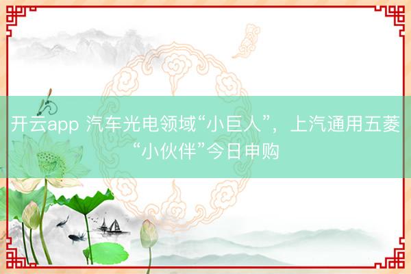 开云app 汽车光电领域“小巨人”，上汽通用五菱“小伙伴”今日申购